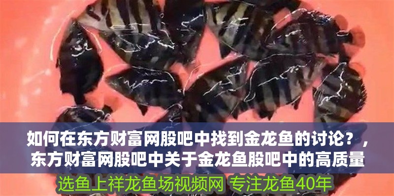 如何在東方財(cái)富網(wǎng)股吧中找到金龍魚的討論？，東方財(cái)富網(wǎng)股吧中關(guān)于金龍魚股吧中的高質(zhì)量討論帖子
