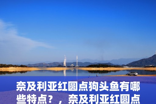 奈及利亞紅圓點狗頭魚有哪些特點？，奈及利亞紅圓點狗頭魚
