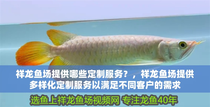 祥龍魚場提供哪些定制服務？，祥龍魚場提供多樣化定制服務以滿足不同客戶的需求