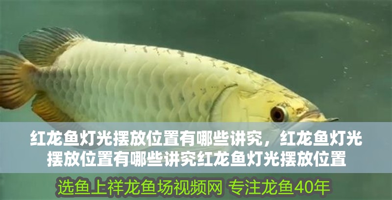 紅龍魚燈光擺放位置有哪些講究，紅龍魚燈光擺放位置有哪些講究紅龍魚燈光擺放位置