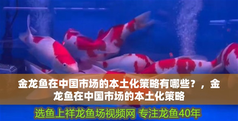金龍魚在中國市場的本土化策略有哪些？，金龍魚在中國市場的本土化策略