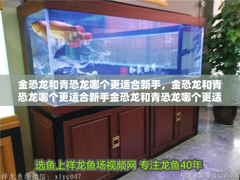 金恐龍和青恐龍哪個更適合新手，金恐龍和青恐龍哪個更適合新手金恐龍和青恐龍哪個更適合新手