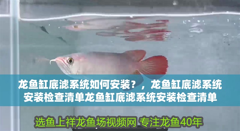 龍魚缸底濾系統如何安裝？，龍魚缸底濾系統安裝檢查清單龍魚缸底濾系統安裝檢查清單