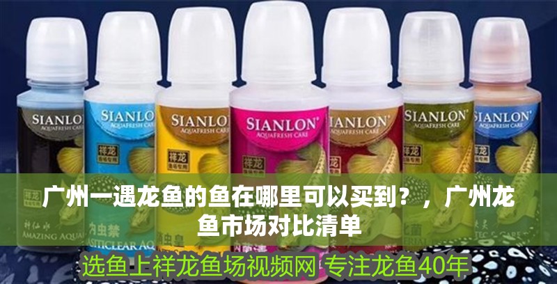 廣州一遇龍魚的魚在哪里可以買到？，廣州龍魚市場對比清單