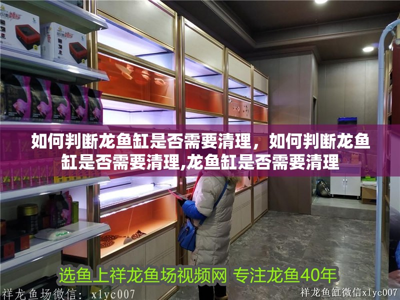如何判斷龍魚缸是否需要清理，如何判斷龍魚缸是否需要清理,龍魚缸是否需要清理