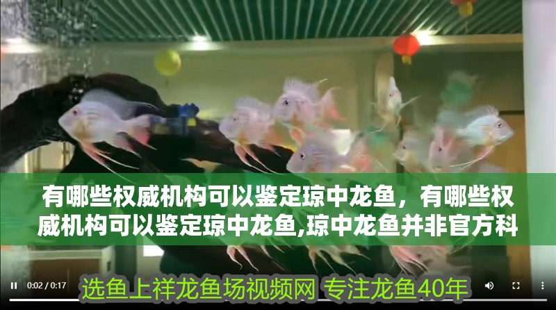 有哪些權威機構可以鑒定瓊中龍魚，有哪些權威機構可以鑒定瓊中龍魚,瓊中龍魚并非官方科學命名物種