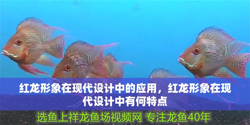 紅龍形象在現(xiàn)代設(shè)計(jì)中的應(yīng)用，紅龍形象在現(xiàn)代設(shè)計(jì)中有何特點(diǎn)