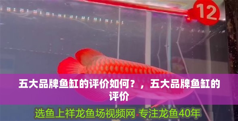 五大品牌魚缸的評價(jià)如何?,五大品牌魚缸的評價(jià)