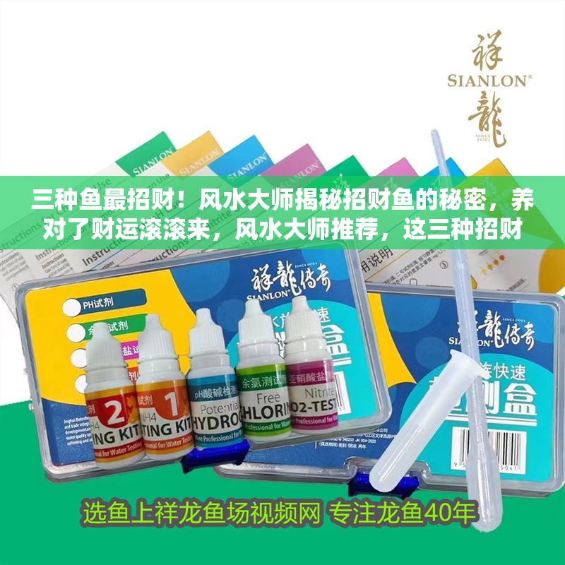 三種魚最招財！風(fēng)水大師揭秘招財魚的秘密，養(yǎng)對了財運(yùn)滾滾來，風(fēng)水大師推薦，這三種招財魚養(yǎng)對了，財運(yùn)滾滾來！