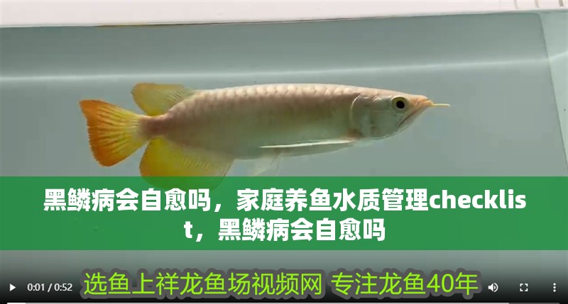 黑鱗病會(huì)自愈嗎，家庭養(yǎng)魚(yú)水質(zhì)管理checklist，黑鱗病會(huì)自愈嗎