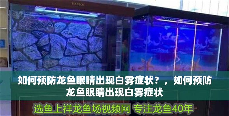 如何預防龍魚眼睛出現白霧癥狀？，如何預防龍魚眼睛出現白霧癥狀