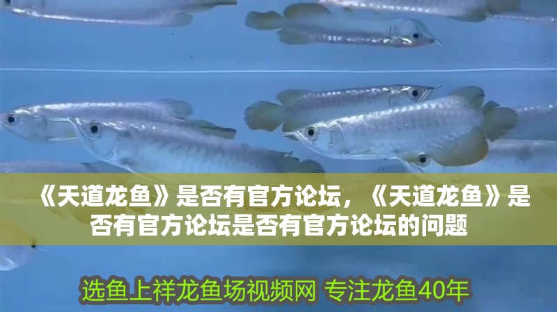 《天道龍魚》是否有官方論壇,《天道龍魚》是否有官方論壇是否有官方論壇的問題