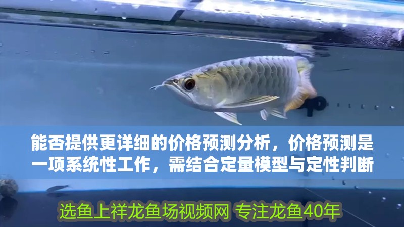 能否提供更詳細的價格預測分析，價格預測是一項系統性工作，需結合定量模型與定性判斷