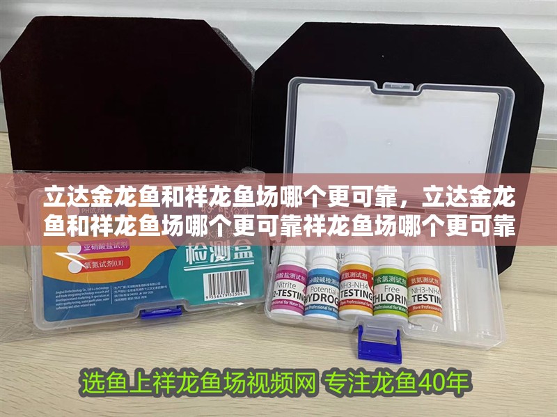 立達金龍魚和祥龍魚場哪個更可靠,立達金龍魚和祥龍魚場哪個更可靠祥龍魚場哪個更可靠