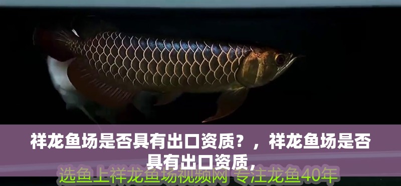 祥龍魚場是否具有出口資質?,祥龍魚場是否具有出口資質,