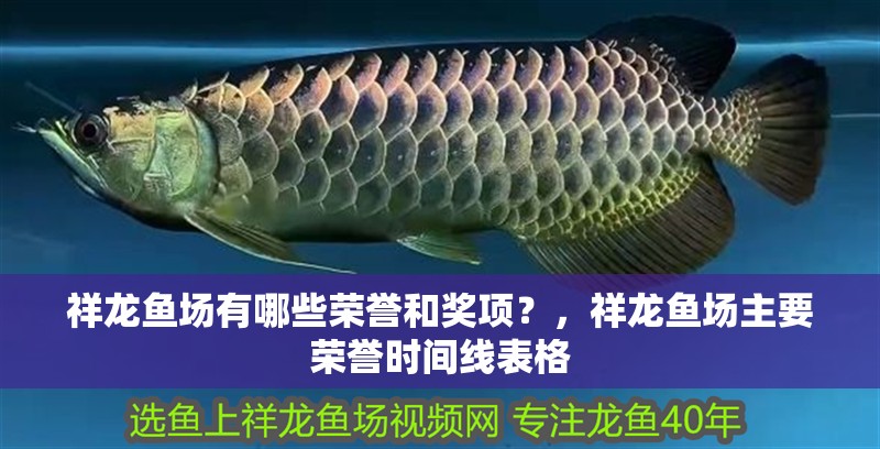 祥龍魚場有哪些榮譽和獎項?,祥龍魚場主要榮譽時間線表格
