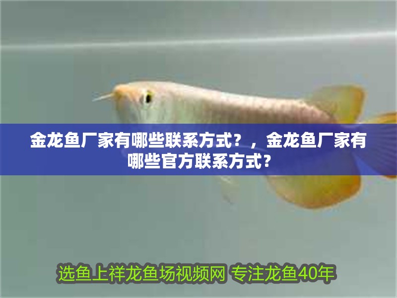 金龍魚(yú)廠家有哪些聯(lián)系方式？，金龍魚(yú)廠家有哪些官方聯(lián)系方式？