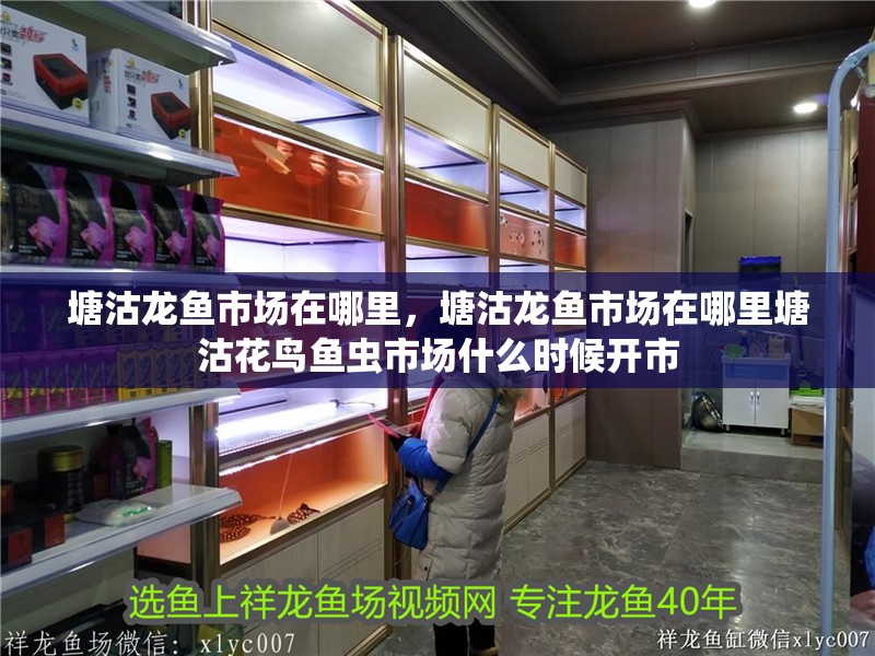 塘沽龍魚市場在哪里,塘沽龍魚市場在哪里塘沽花鳥魚蟲市場什么時候開市