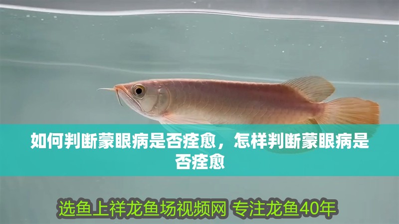 如何判斷蒙眼病是否痊愈，怎樣判斷蒙眼病是否痊愈