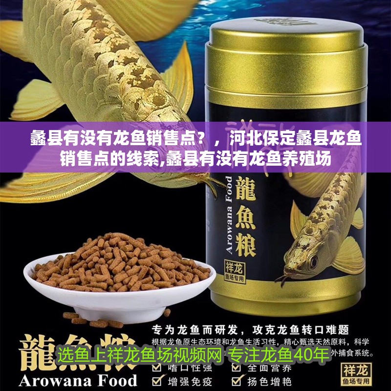 蠡縣有沒有龍魚銷售點？，河北保定蠡縣龍魚銷售點的線索,蠡縣有沒有龍魚養殖場