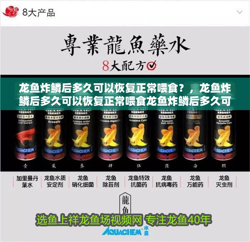 龍魚炸鱗后多久可以恢復正常喂食?,龍魚炸鱗后多久可以恢復正常喂食龍魚炸鱗后多久可以恢復正常喂食
