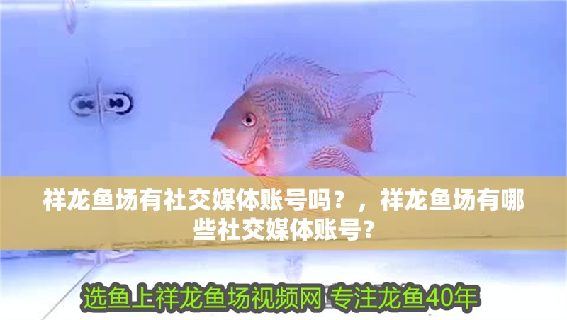 祥龍魚場有社交媒體賬號嗎？，祥龍魚場有哪些社交媒體賬號？
