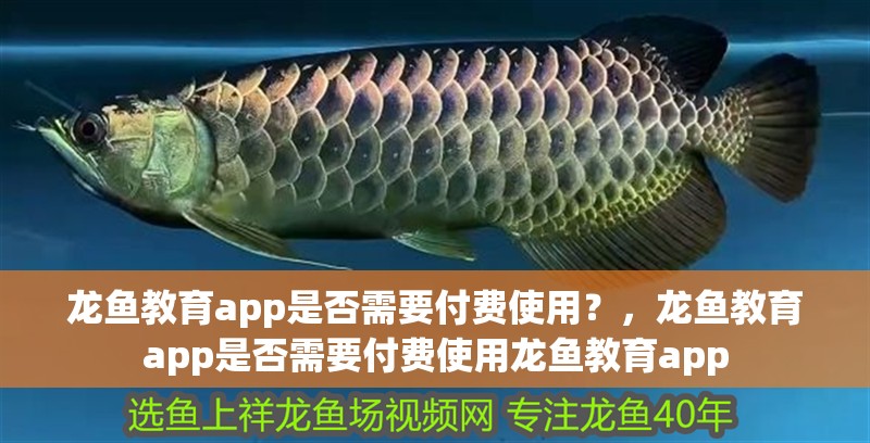 龍魚教育app是否需要付費(fèi)使用？，龍魚教育app是否需要付費(fèi)使用龍魚教育app