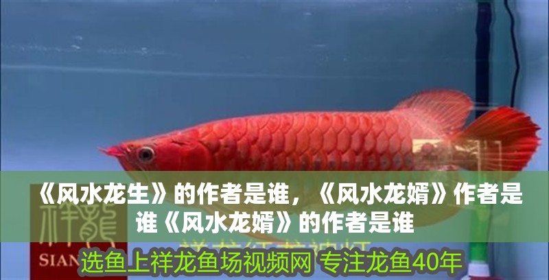 《風水龍生》的作者是誰,《風水龍婿》作者是誰《風水龍婿》的作者是誰