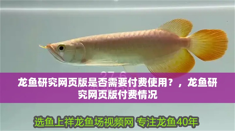 龍魚研究網頁版是否需要付費使用？，龍魚研究網頁版付費情況