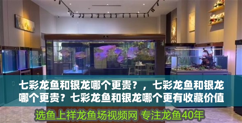 七彩龍魚和銀龍哪個更貴？，七彩龍魚和銀龍哪個更貴？七彩龍魚和銀龍哪個更有收藏價值？