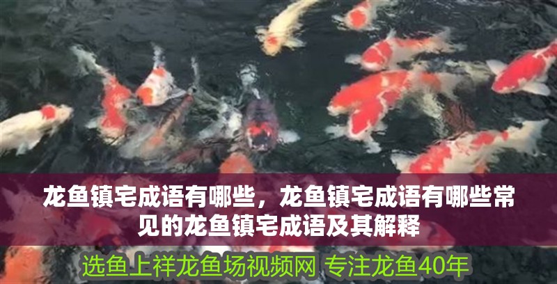 龍魚鎮宅成語有哪些，龍魚鎮宅成語有哪些常見的龍魚鎮宅成語及其解釋