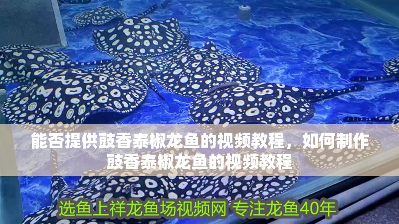 能否提供豉香泰椒龍魚的視頻教程，如何制作豉香泰椒龍魚的視頻教程