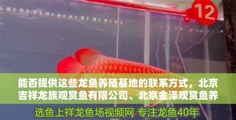 能否提供這些龍魚養殖基地的聯系方式，北京吉祥龍族觀賞魚有限公司、北京金澤觀賞魚養殖基地