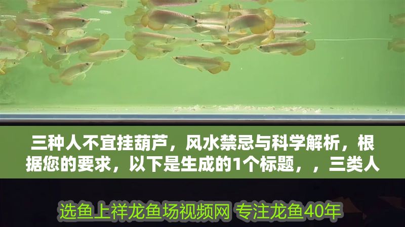 三種人不宜掛葫蘆，風水禁忌與科學解析，根據(jù)您的要求，以下是生成的1個標題，，三類人群慎掛葫蘆，風水禁忌與科學依據(jù)解析