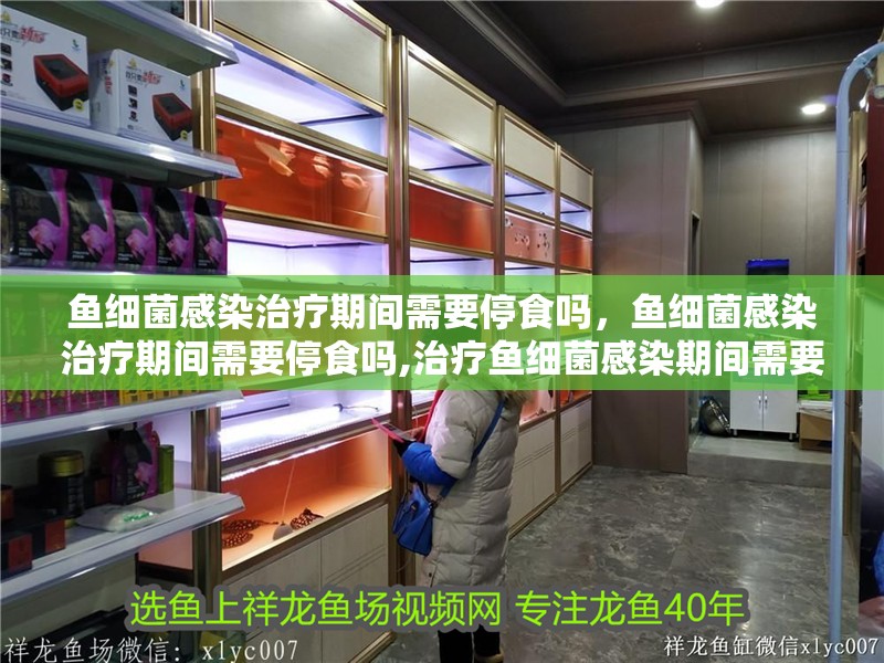 魚細(xì)菌感染治療期間需要停食嗎,魚細(xì)菌感染治療期間需要停食嗎,治療魚細(xì)菌感染期間需要停食嗎