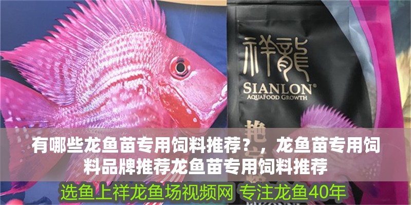 有哪些龍魚苗專用飼料推薦?,龍魚苗專用飼料品牌推薦龍魚苗專用飼料推薦