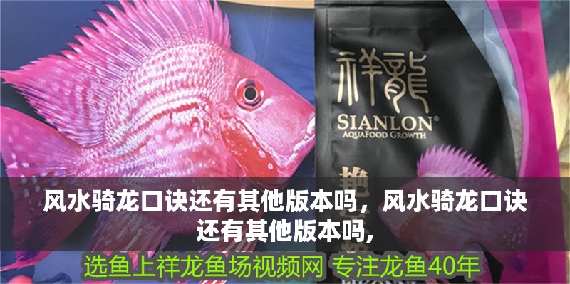 風(fēng)水騎龍口訣還有其他版本嗎，風(fēng)水騎龍口訣還有其他版本嗎,