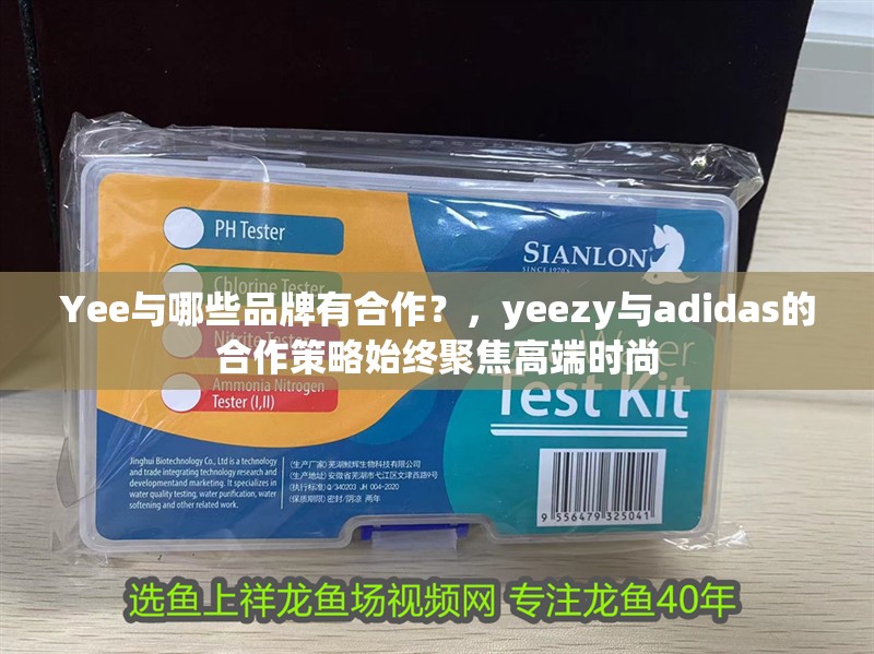 Yee與哪些品牌有合作？，yeezy與adidas的合作策略始終聚焦高端時(shí)尚