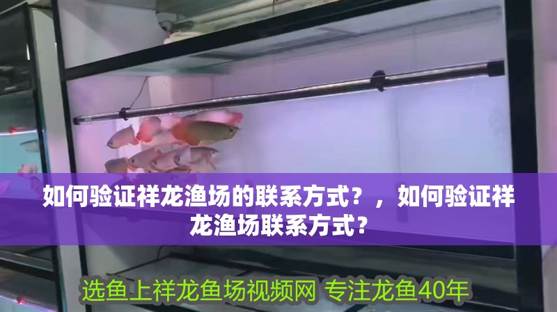 如何驗證祥龍漁場的聯系方式？，如何驗證祥龍漁場聯系方式？