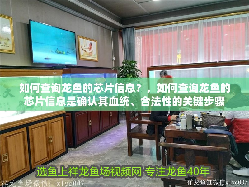 如何查詢龍魚的芯片信息？，如何查詢龍魚的芯片信息是確認其血統、合法性的關鍵步驟