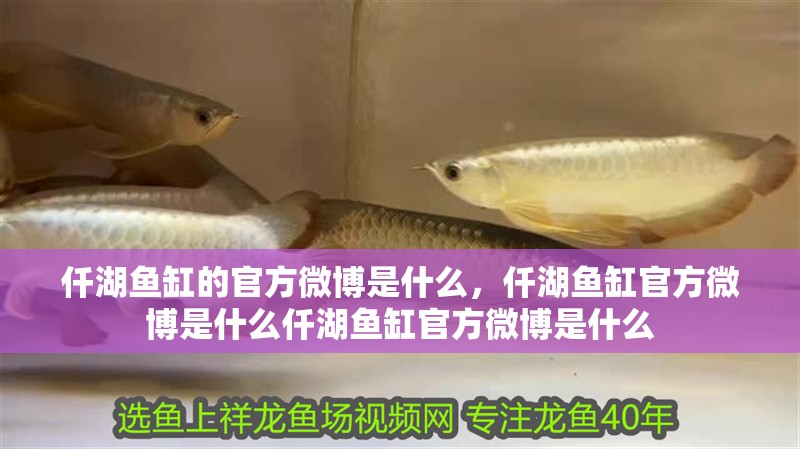 仟湖魚缸的官方微博是什么，仟湖魚缸官方微博是什么仟湖魚缸官方微博是什么