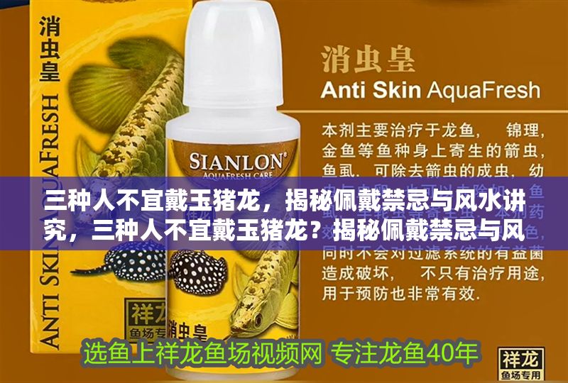 三種人不宜戴玉豬龍，揭秘佩戴禁忌與風水講究，三種人不宜戴玉豬龍？揭秘佩戴禁忌與風水講究