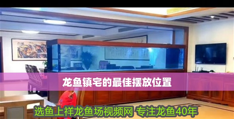 龍魚鎮(zhèn)宅的最佳擺放位置