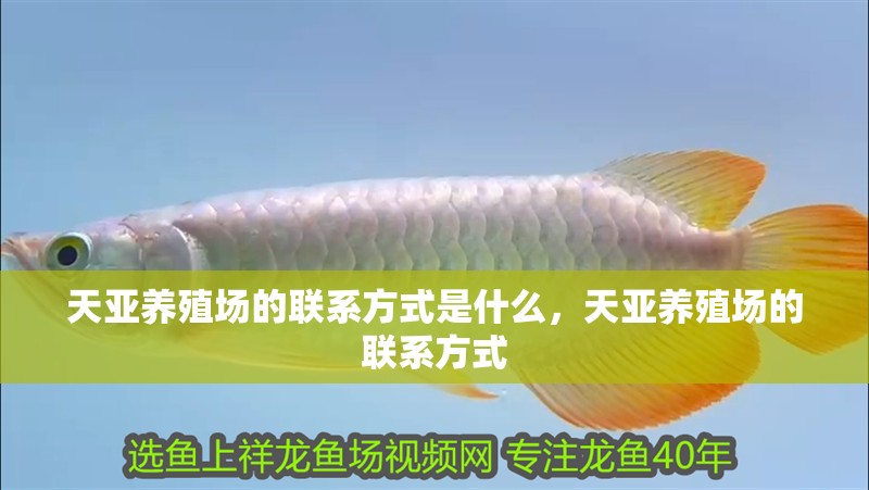 天亞養殖場的聯系方式是什么，天亞養殖場的聯系方式