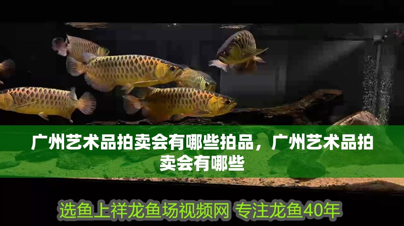 廣州藝術品拍賣會有哪些拍品，廣州藝術品拍賣會有哪些
