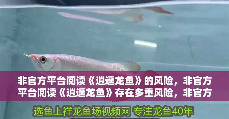 非官方平臺閱讀《逍遙龍魚》的風險，非官方平臺閱讀《逍遙龍魚》存在多重風險，非官方平臺閱讀風險