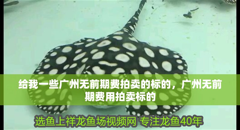 給我一些廣州無前期費拍賣的標的，廣州無前期費用拍賣標的
