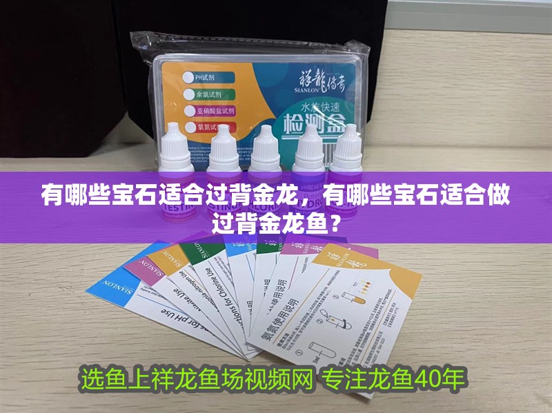 有哪些寶石適合過背金龍,有哪些寶石適合做過背金龍魚?