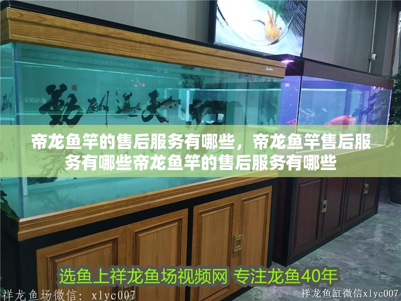 帝龍魚竿的售后服務(wù)有哪些，帝龍魚竿售后服務(wù)有哪些帝龍魚竿的售后服務(wù)有哪些