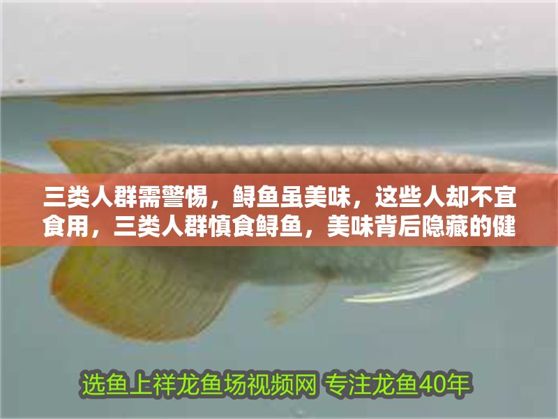 三類人群需警惕，鱘魚雖美味，這些人卻不宜食用，三類人群慎食鱘魚，美味背后隱藏的健康禁忌